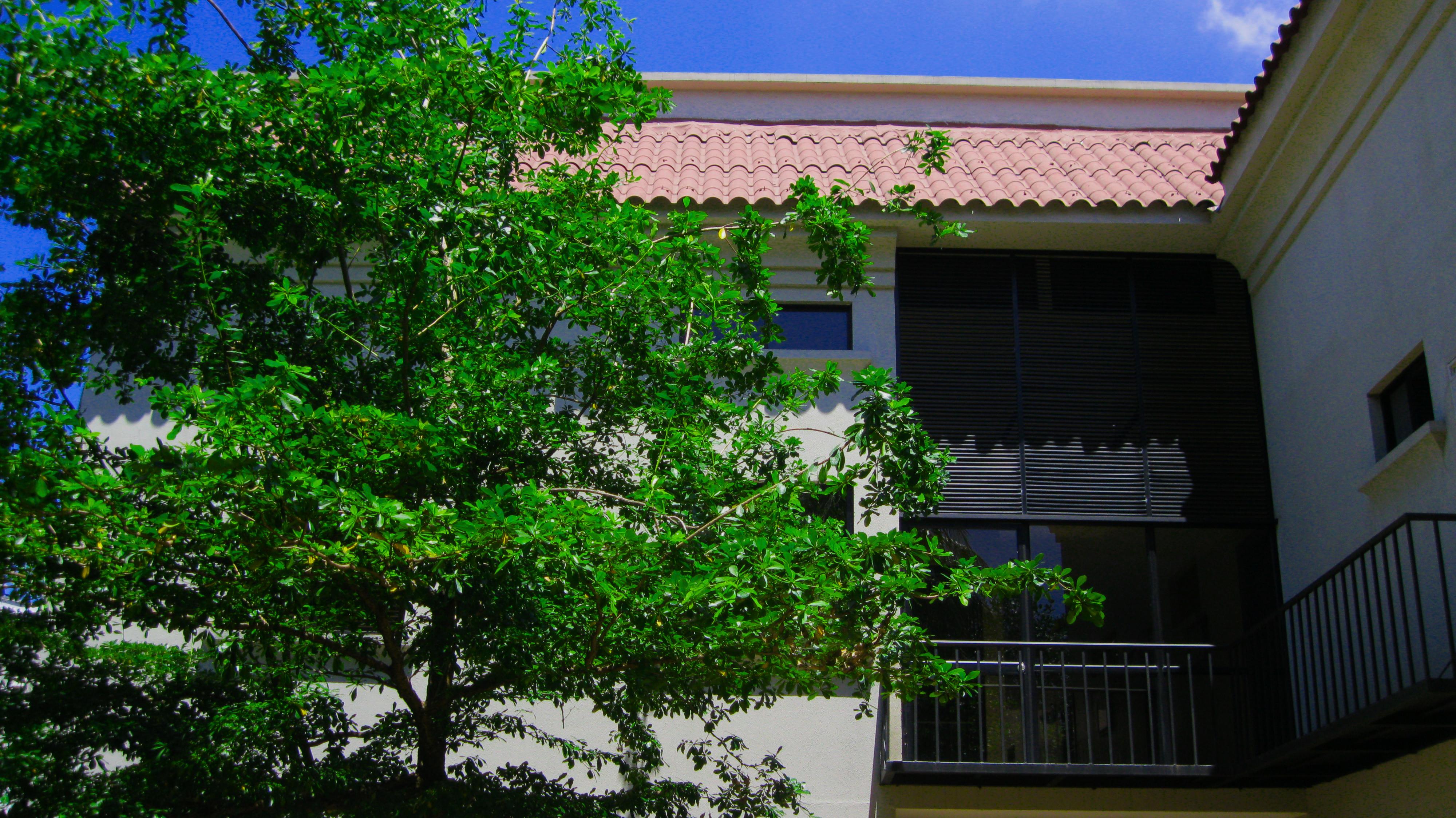 Apartterrazas Guayaquil -Suites&Lofts- Екстериор снимка
